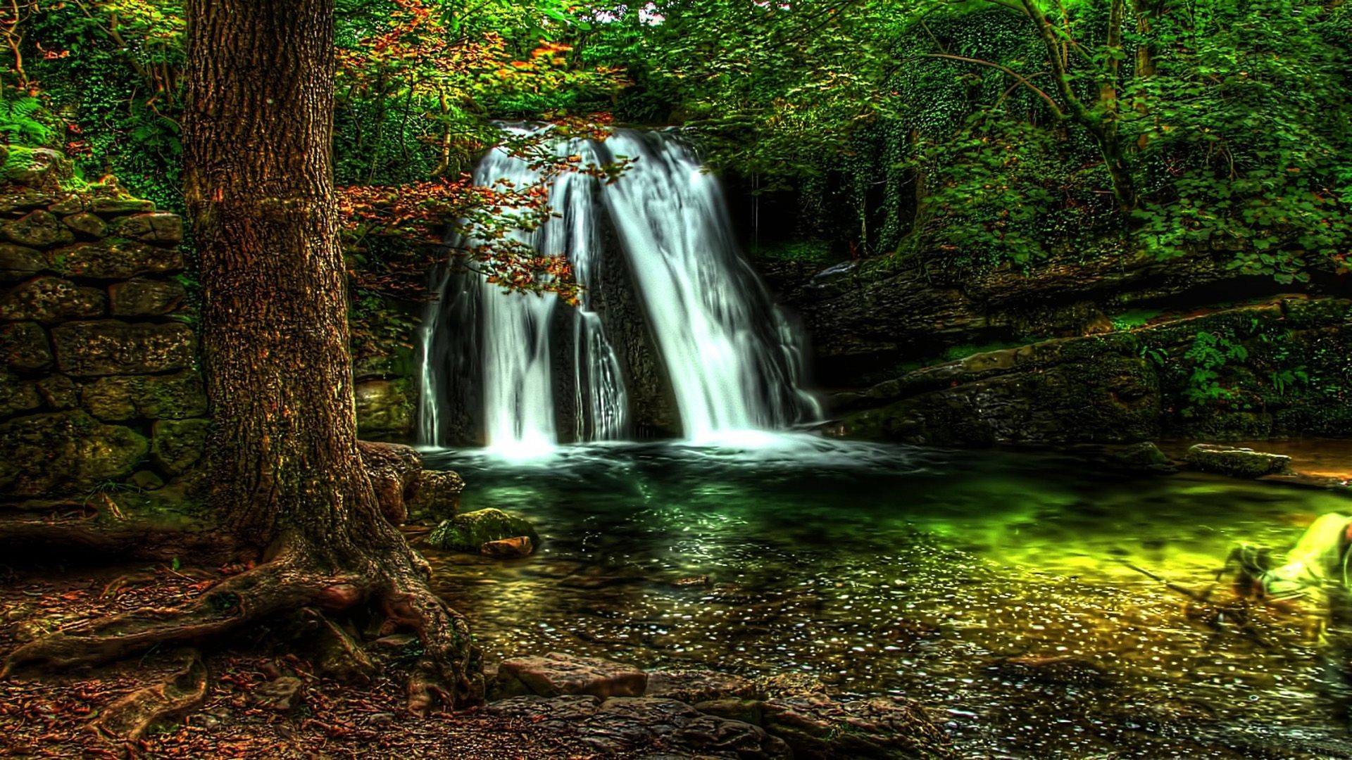 Cascata nella foresta verde, 1920x1080 Full HD, Laptop
