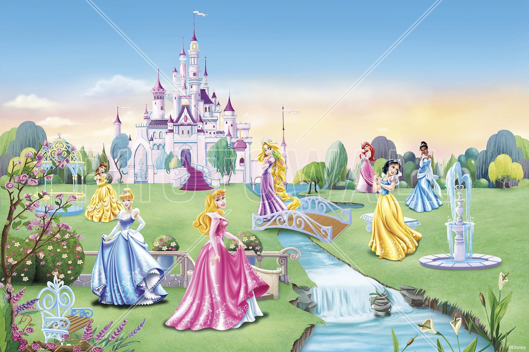 Principesse Disney con castello, 2000x1333 Hi-Res, PC Desktop
