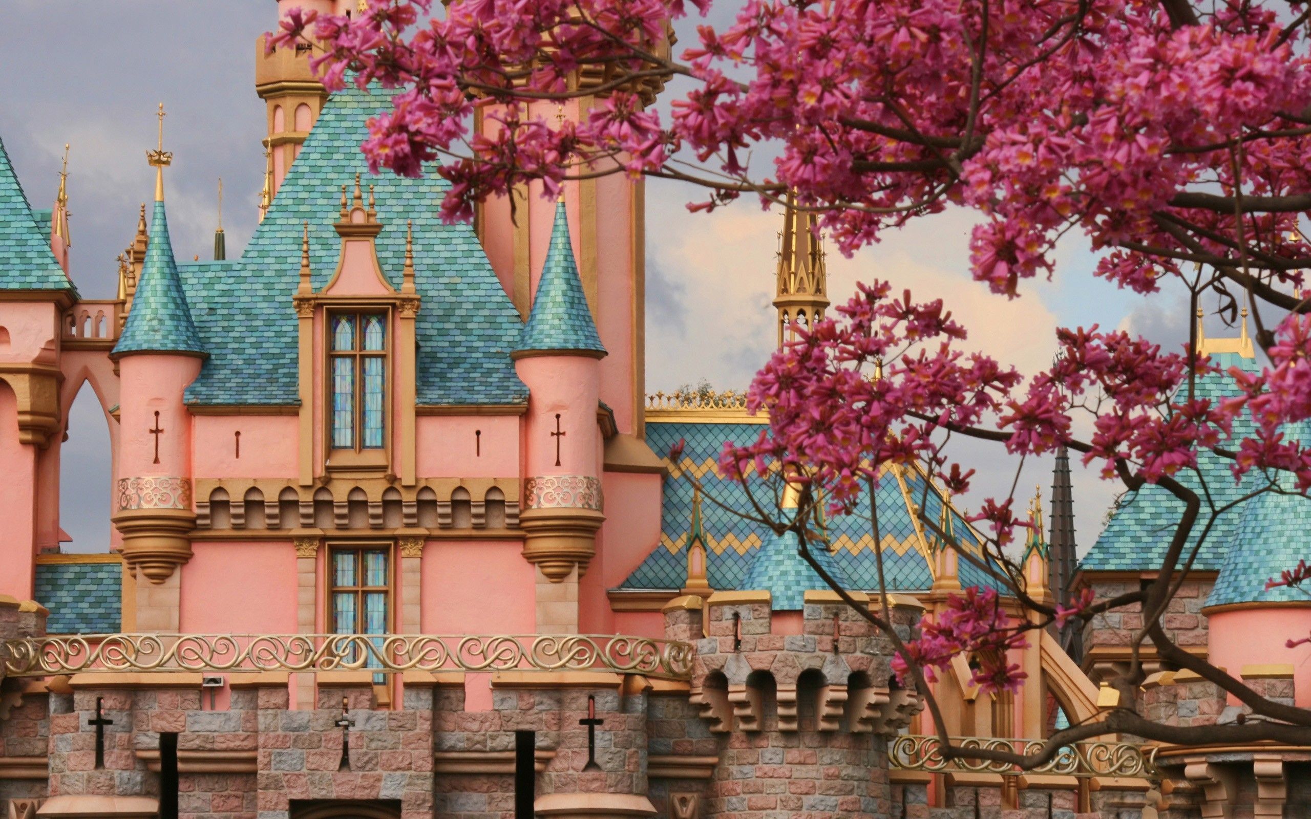 Castello Disneyland con fiori rosa, 2560x1600 WQXGA, PC