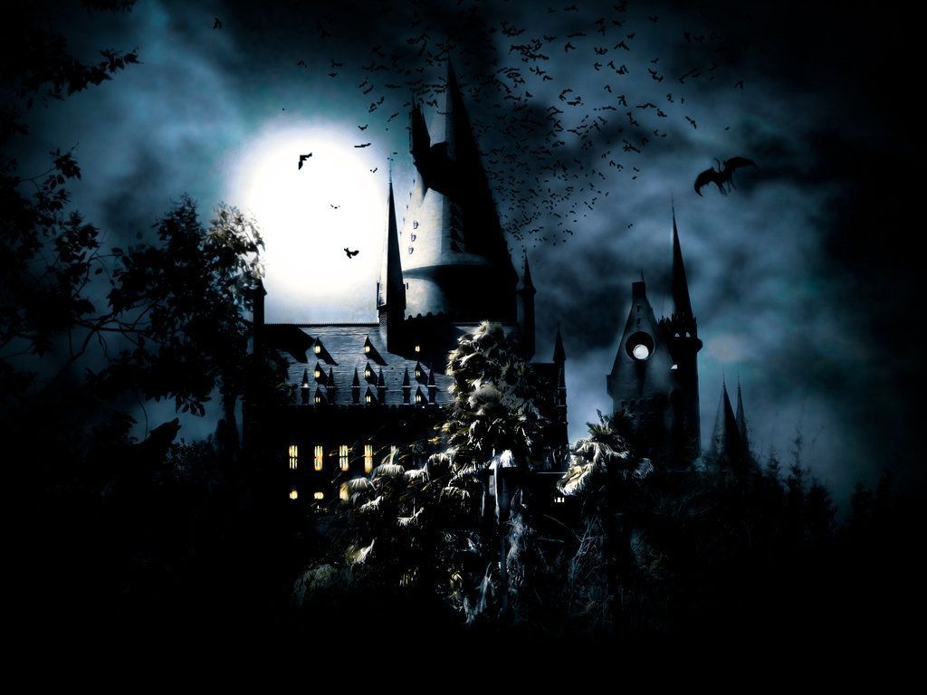 Castello di Hogwarts notturno, 1024x768 HD, Desktop