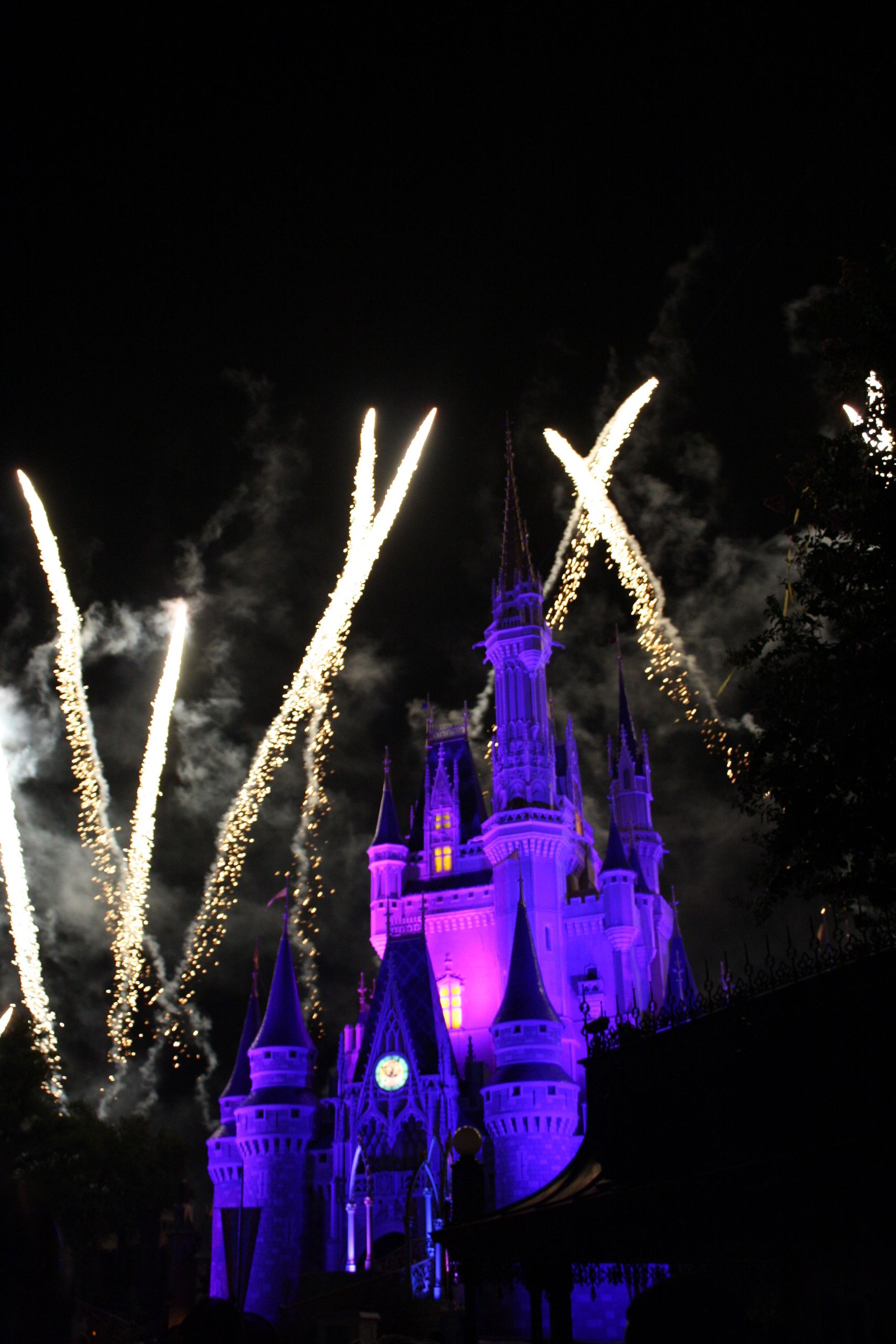 Castello Disney notte fuochi artificio, 1707x2560 Verticale, Mobile