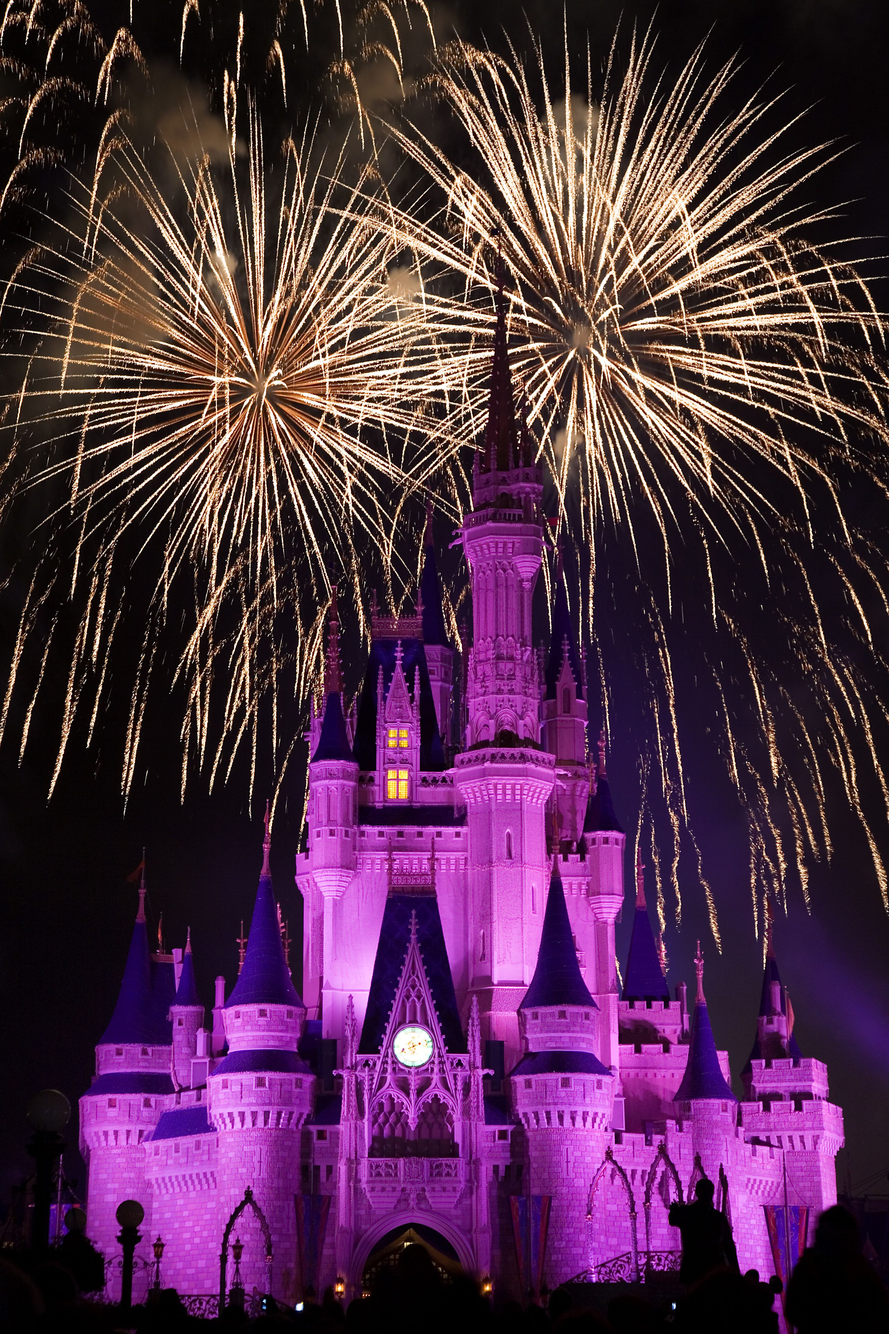Castello Disney con fuochi d'artificio, 2912x4368 Verticale, Mobile