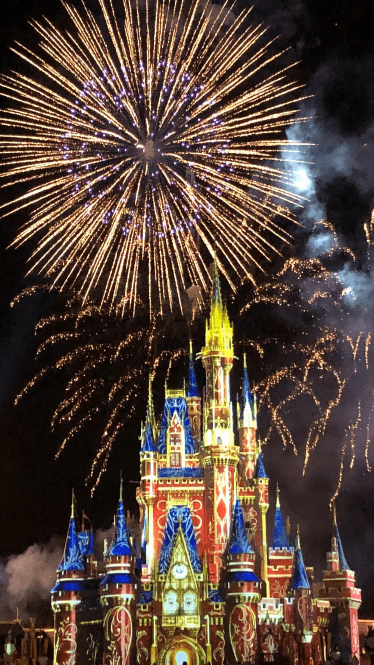 Castello Disney fuochi d'artificio, 1242x2208 Full HD Verticale, iPhone