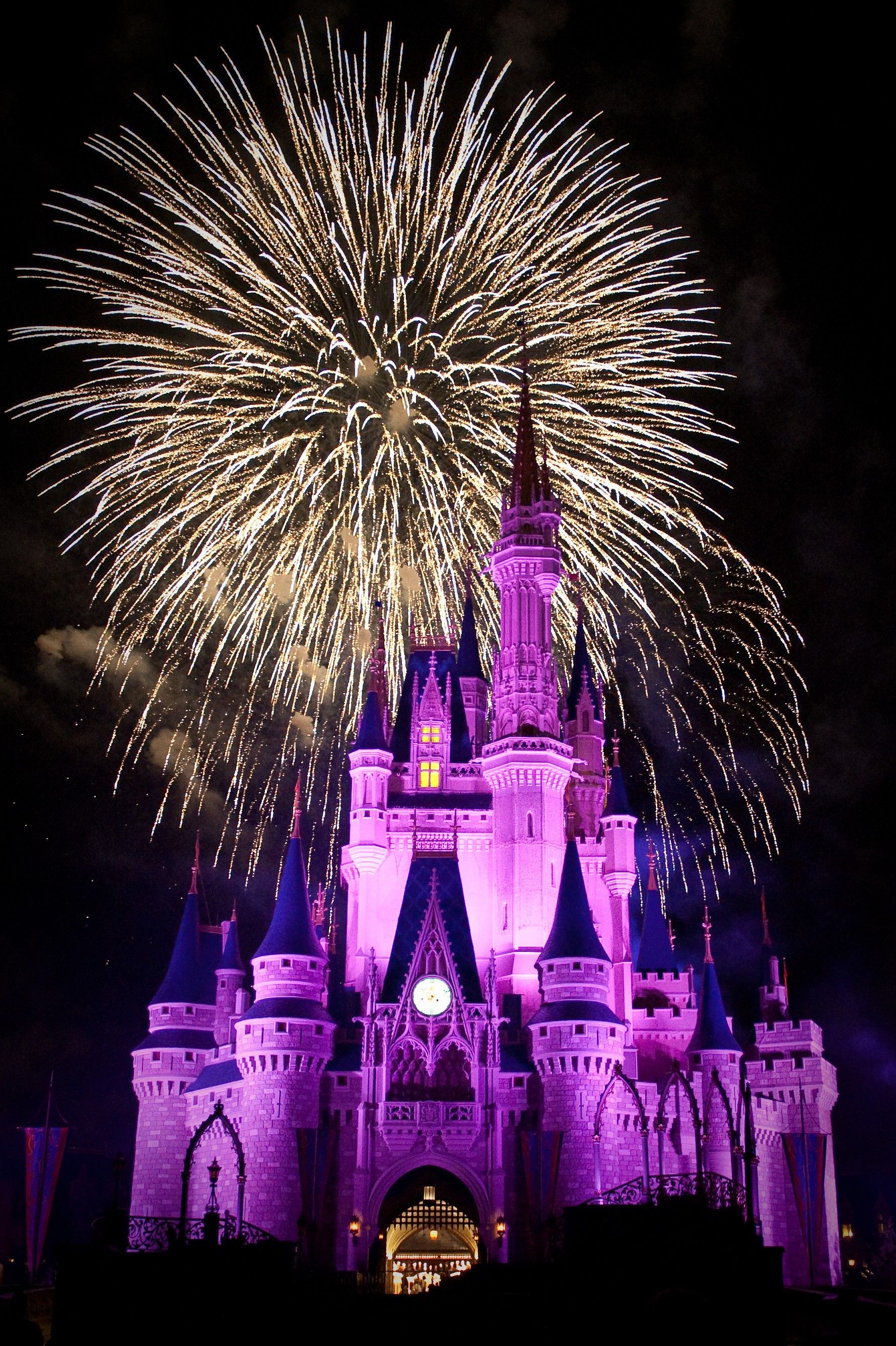 Castello Disney fuochi artificio, 1779x2674 Verticale, Mobile
