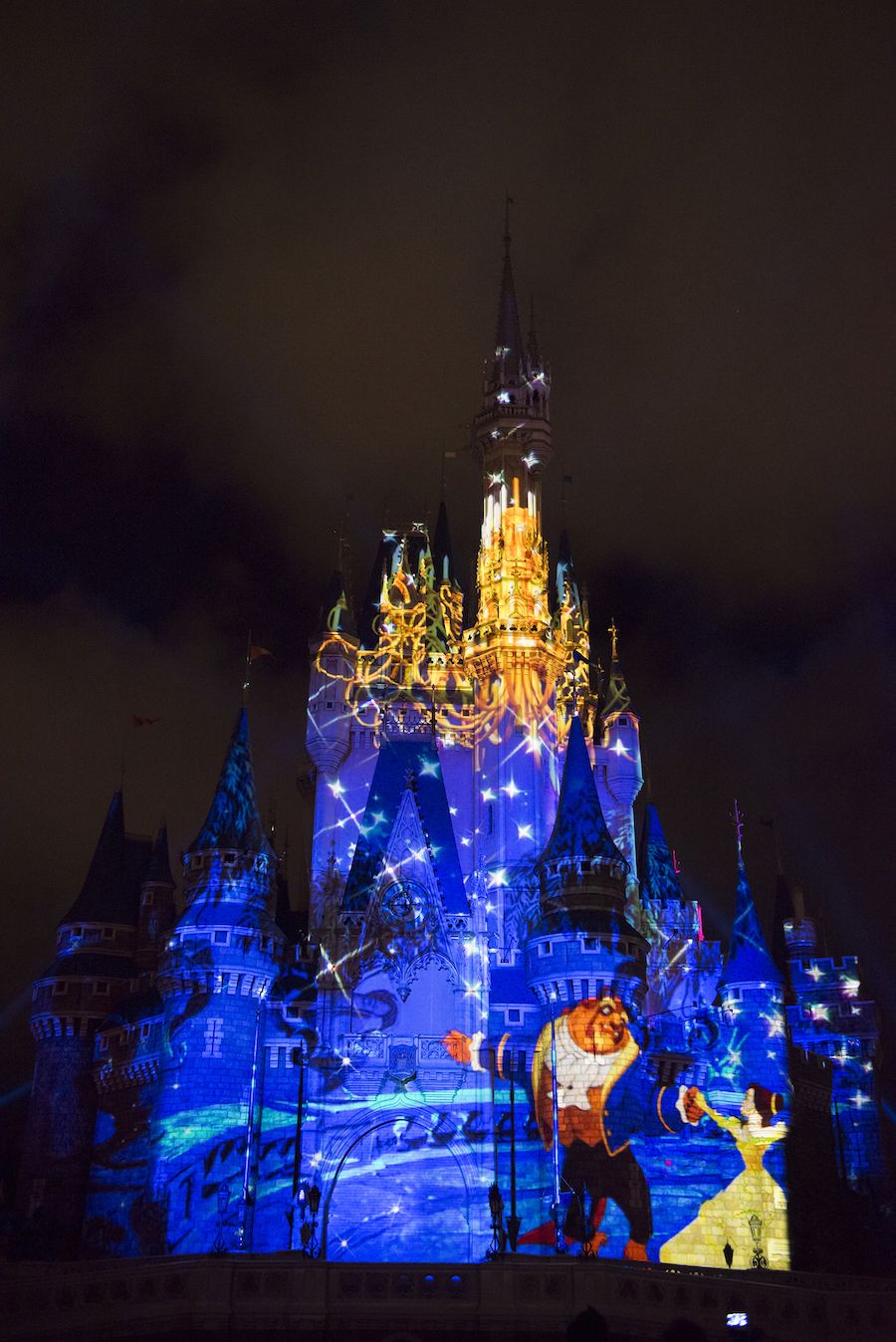 Castello Disney con proiezioni notturne, 900x1348 Verticale, Mobile