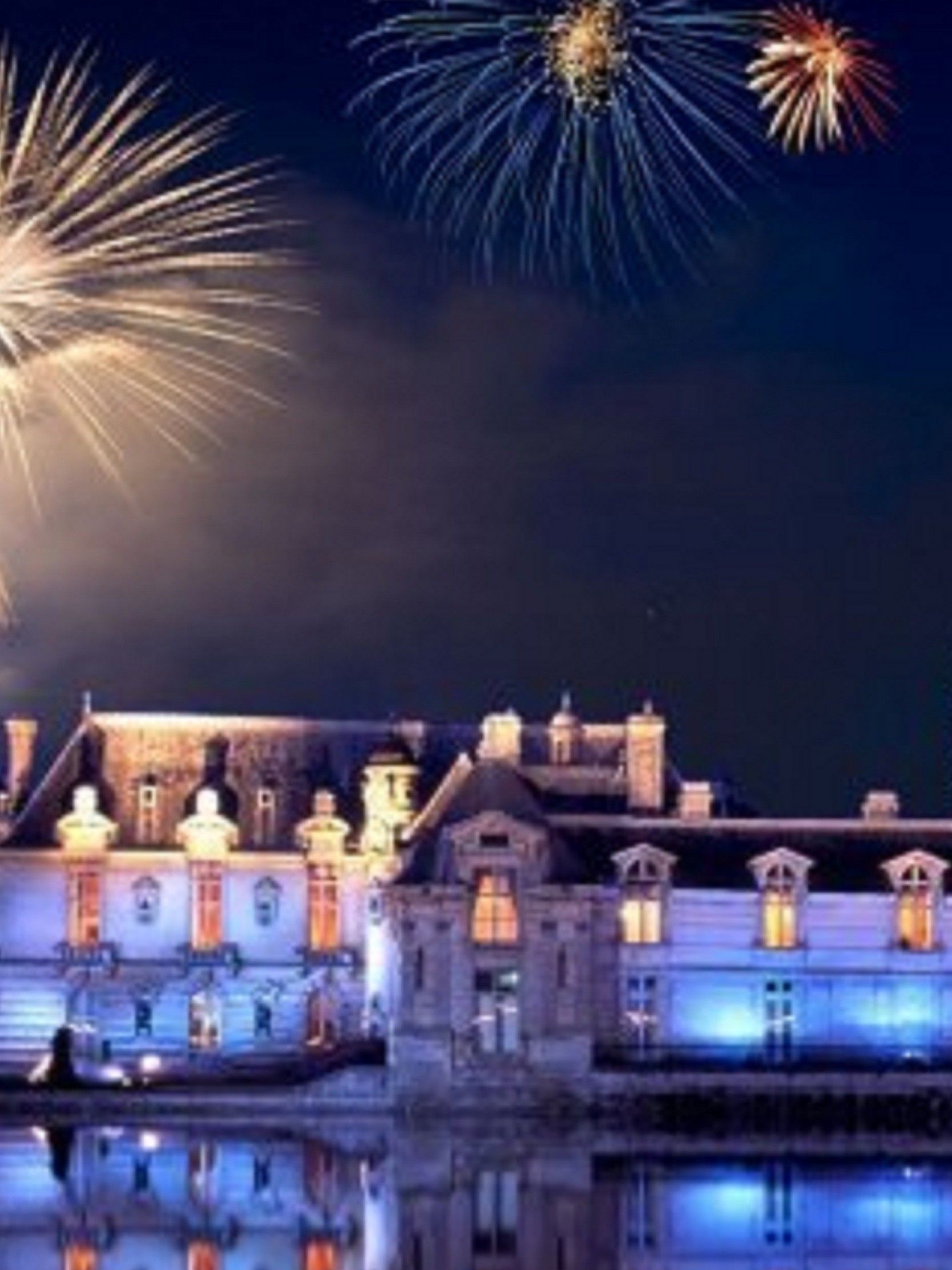 Castello Disney con fuochi artificio, 1668x2224 Full HD Verticale, iPhone