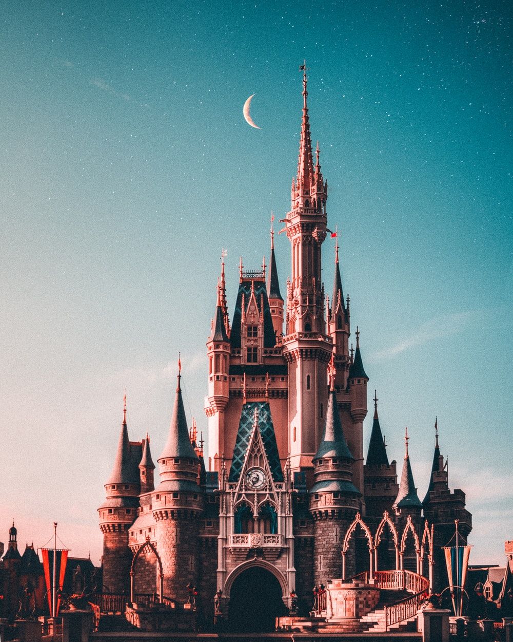 Castello Magic Kingdom Disney, 1000x1250 Full HD Verticale, Realme