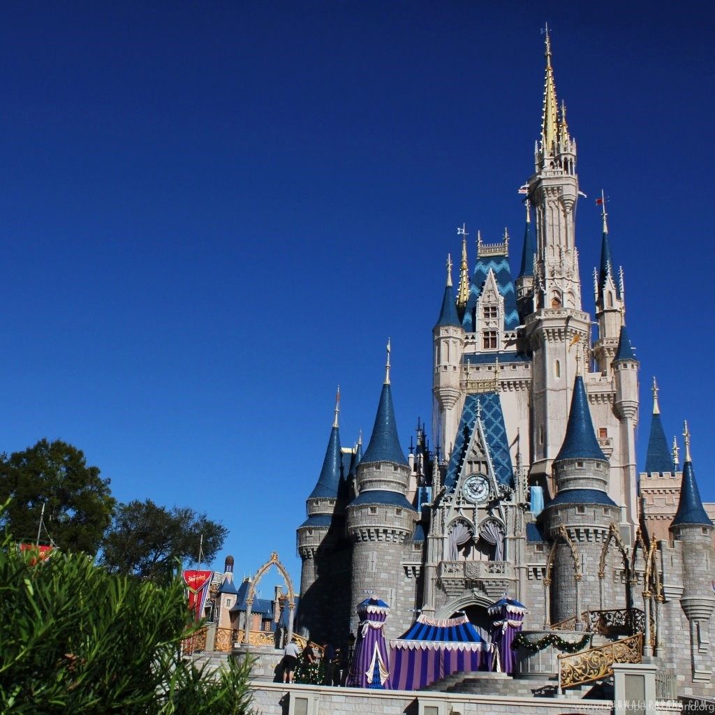 Castello Disney cielo blu, 1024x1024 HD, PC