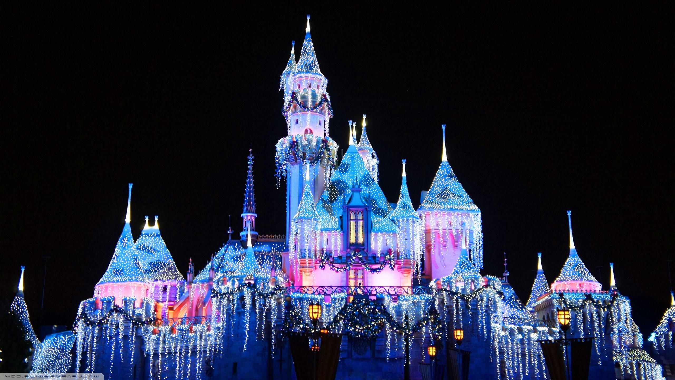 Castello Disney illuminato di notte, 2560x1440 1440p, Desktop