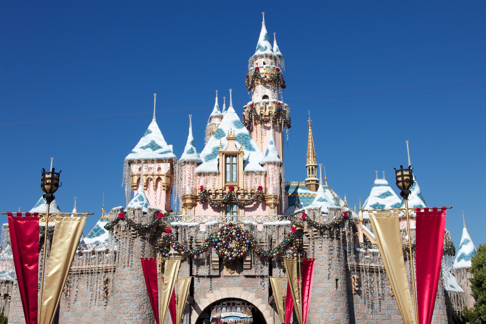 Disneyland Natale albero luminarie, 2560x1440 1440p, Desktop