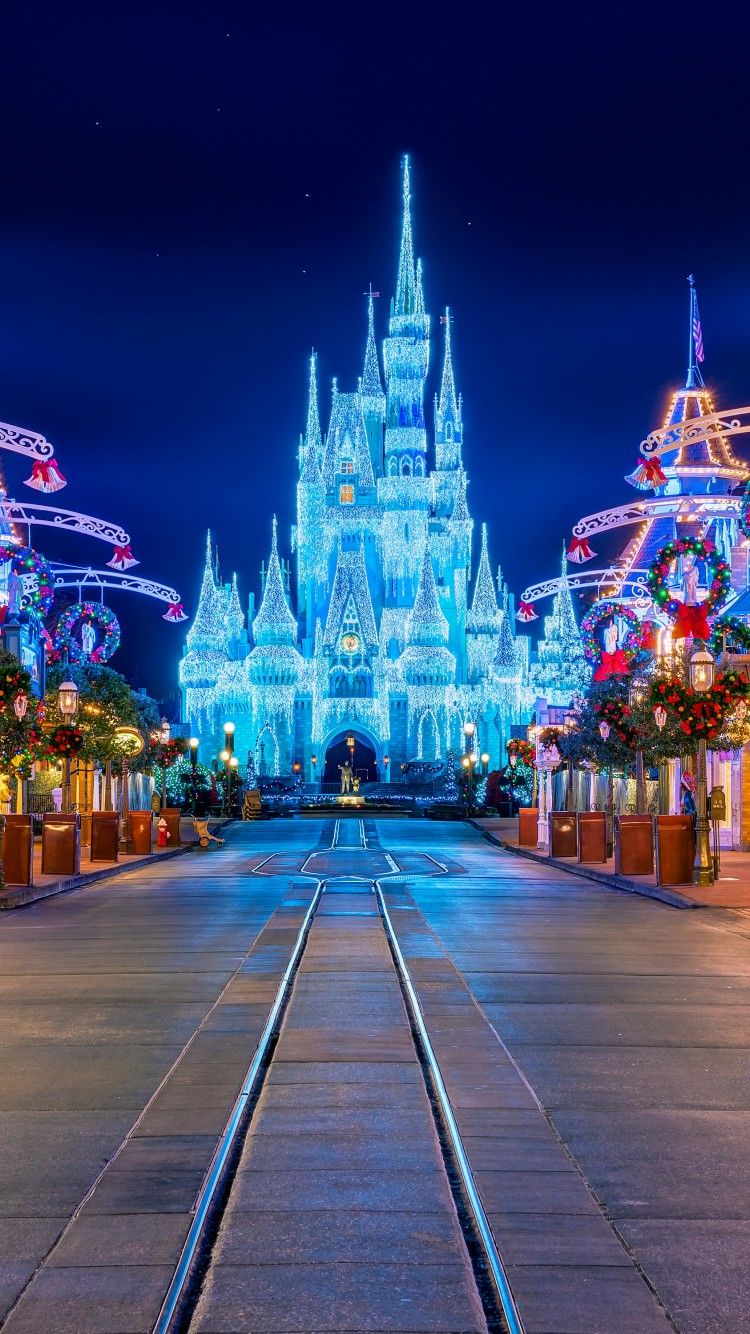 Castello Disney illuminato notte, 750x1334 Full HD Verticale, iPhone Air