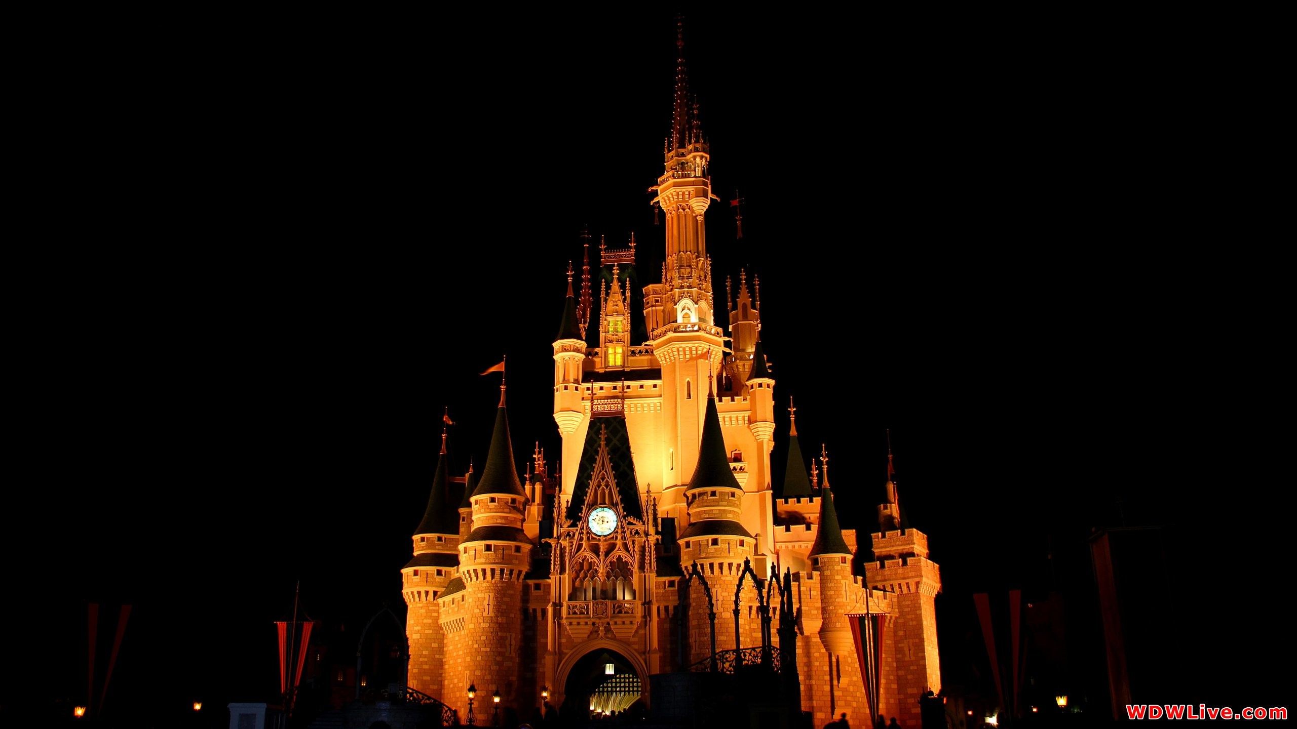 Castello Disney illuminato di notte, 2560x1440 QHD, Laptop