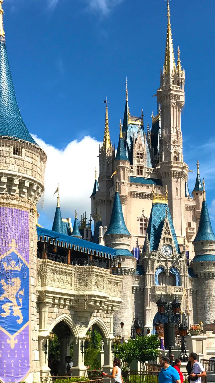 Castello Cenerentola Disney World, 750x1333 Full HD Verticale, iPhone Pro