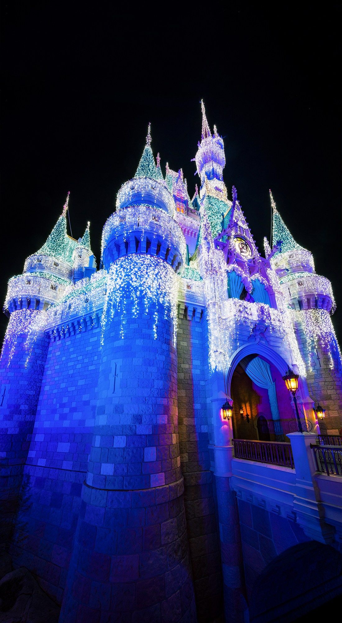 Castello Disney luci notturne, 1100x2000 Full HD Verticale, iPhone Pro Max