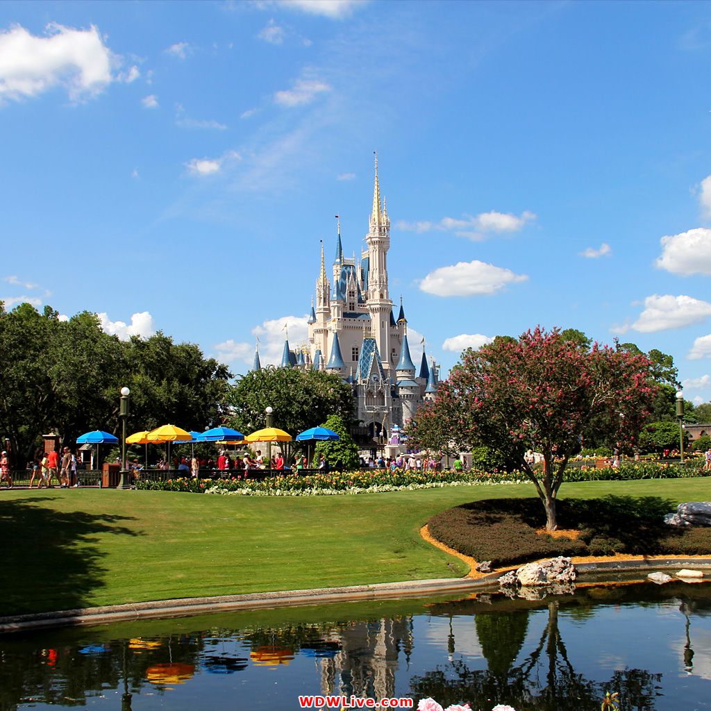 Castello Cenerentola Disney World, 1024x1024 HD, Desktop