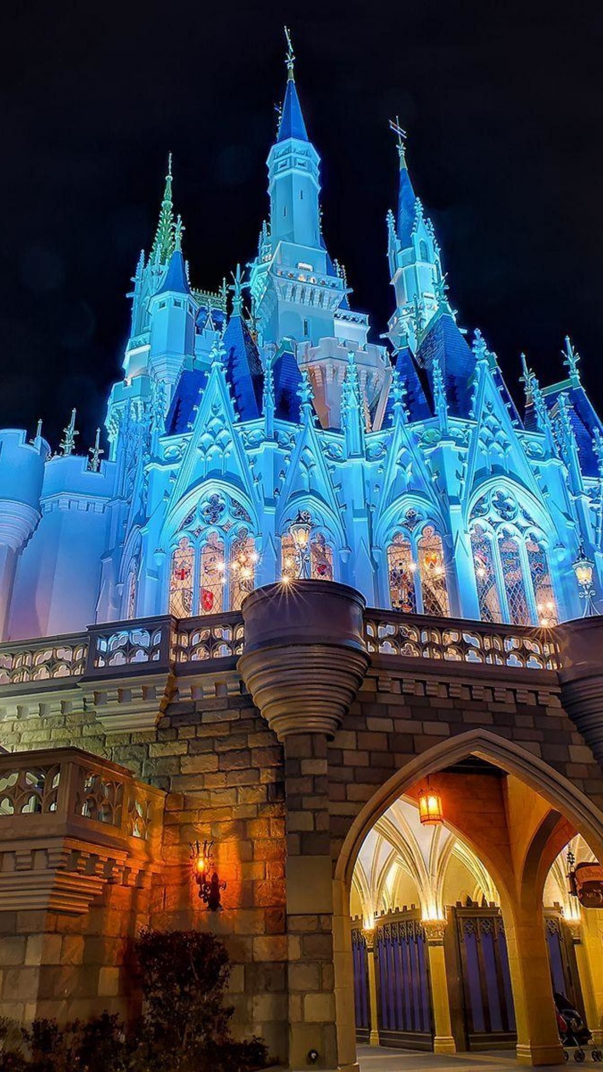 Castello Disney illuminato di notte, 1242x2208 Full HD Verticale, iPhone