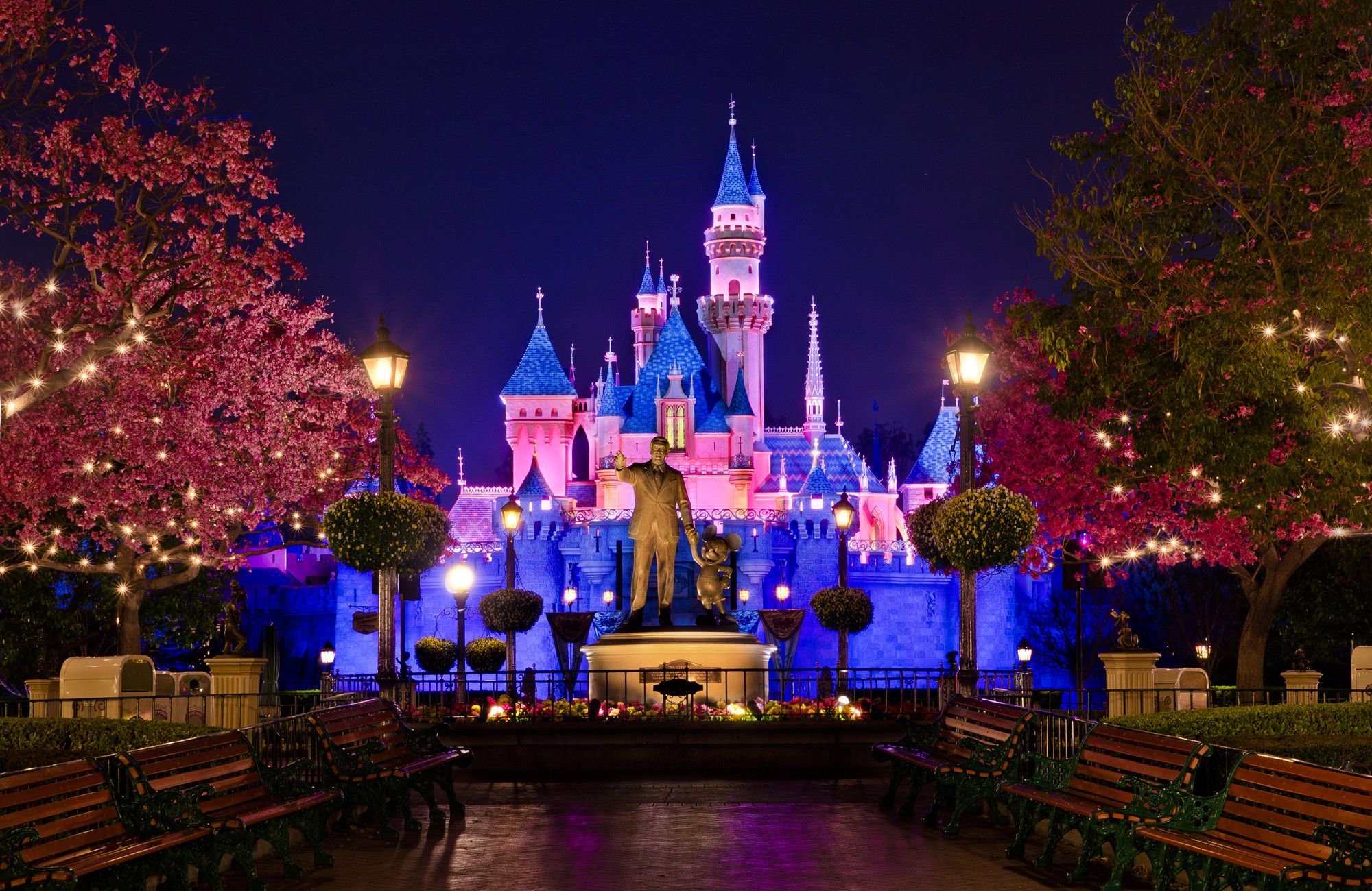 Castello Disneyland illuminato di notte, 2000x1300 alta risoluzione, PC Desktop