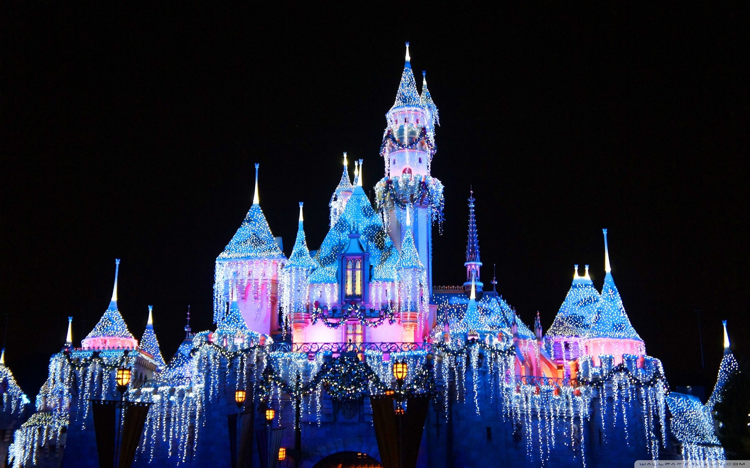 Castello Disneyland illuminato notte, 2560x1600 WQXGA, Laptop