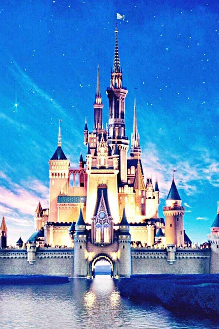 Castello Disney con riflesso, 740x1110 Verticale, Mobile