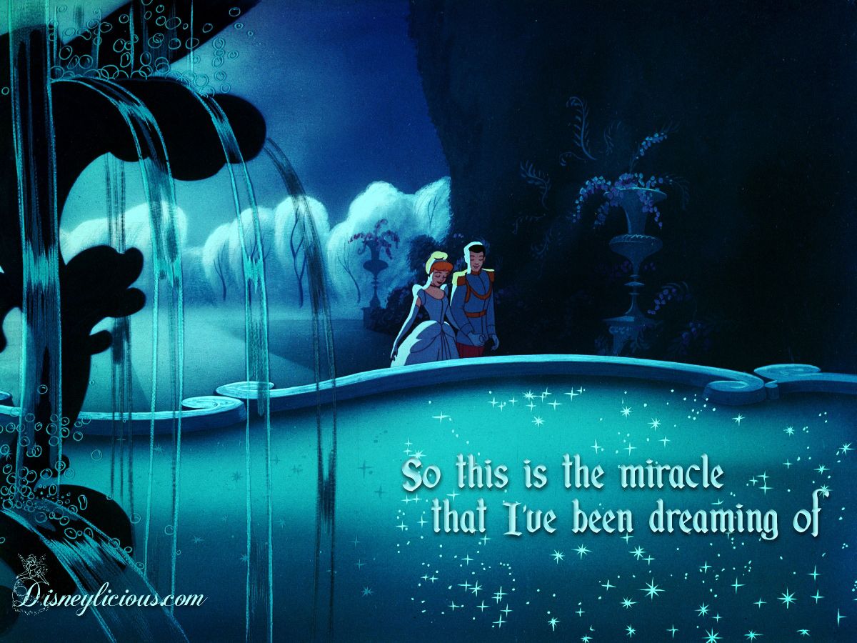 Cenerentola Castello Disney notte, 1200x900 HD, Laptop