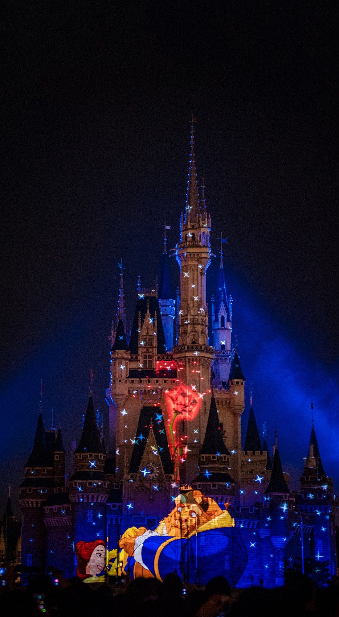 Castello Disney notturno luci, 1100x2000 Verticale, Mobile