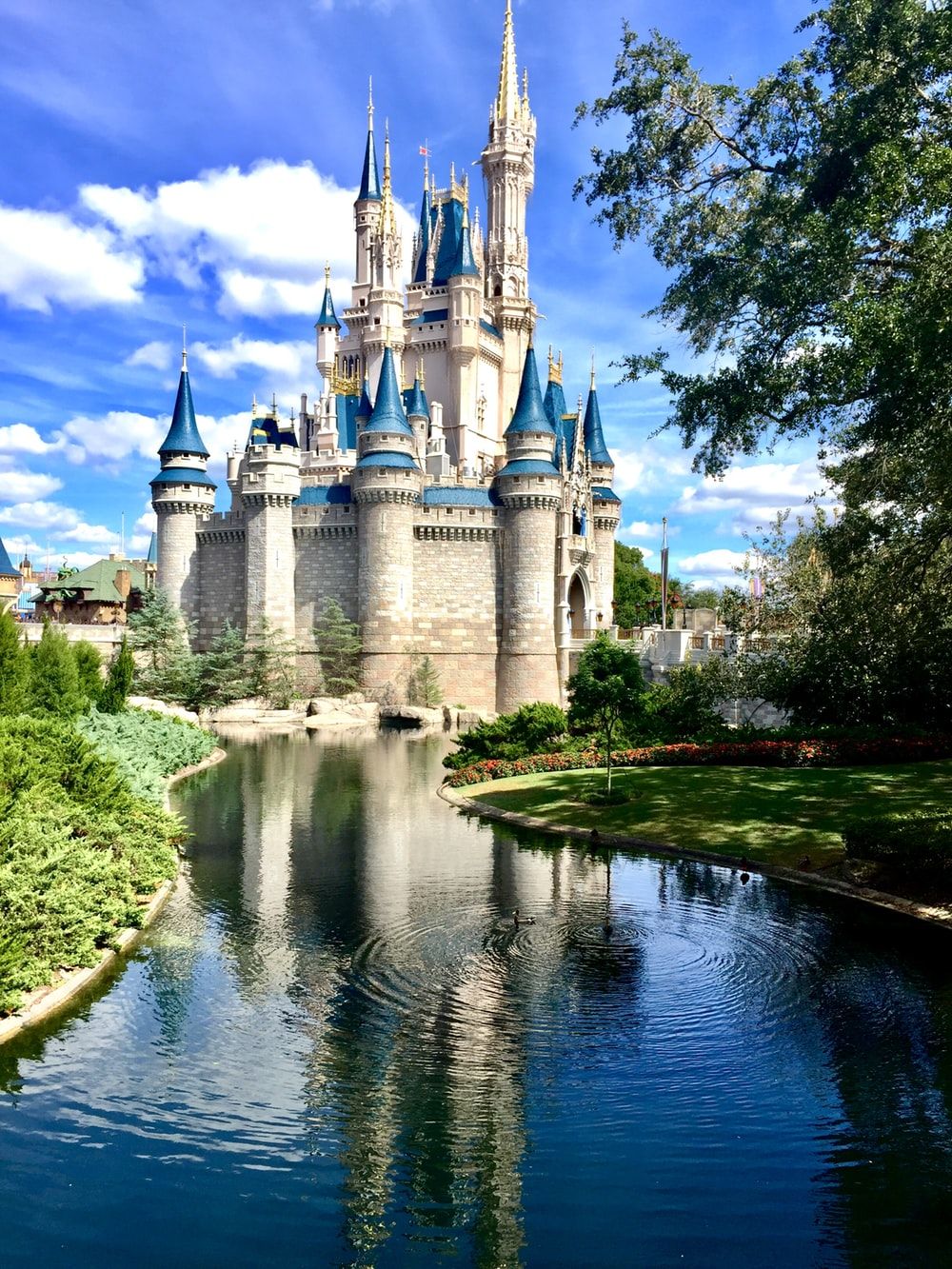 Castello Cenerentola Disney World, 1000x1333 Full HD Verticale, iPhone