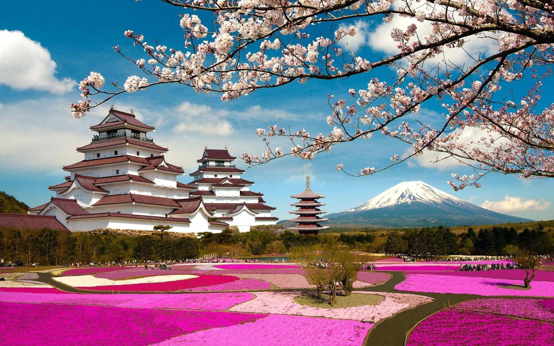 Castello di Osaka con ciliegi, 1920x1200 Full HD+ WUXGA, Laptop