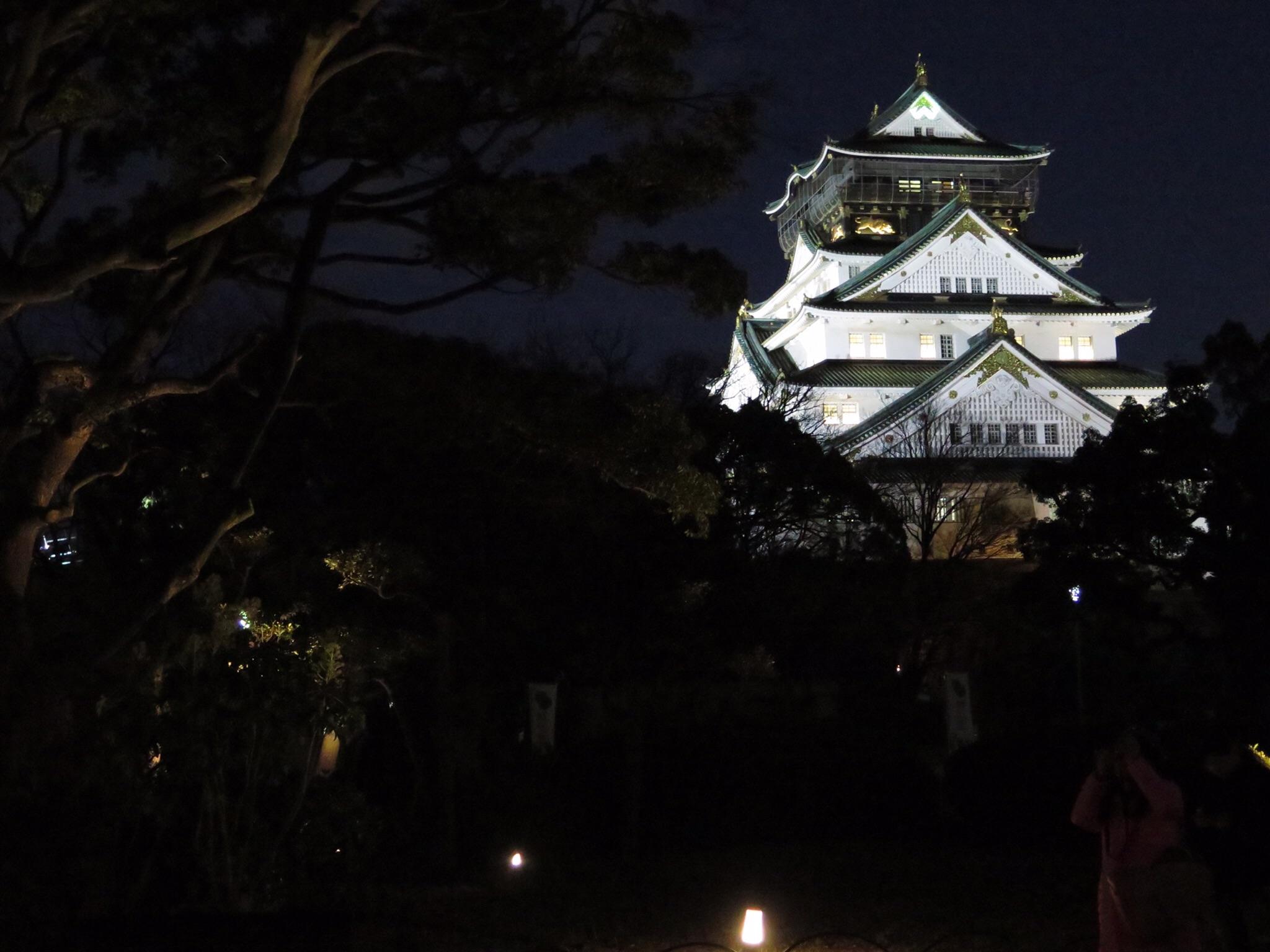 Castello di Osaka di notte, 1280x800 720p, PC