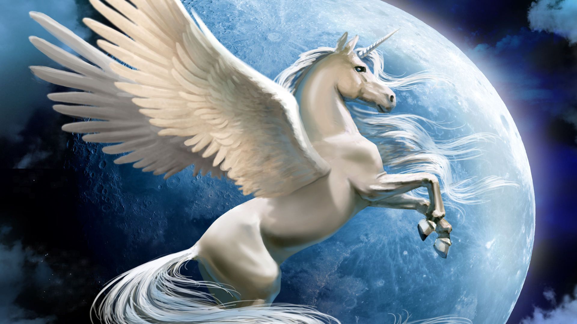 Cavaliere alato nero su cavallo, 1244x700 HD, Desktop