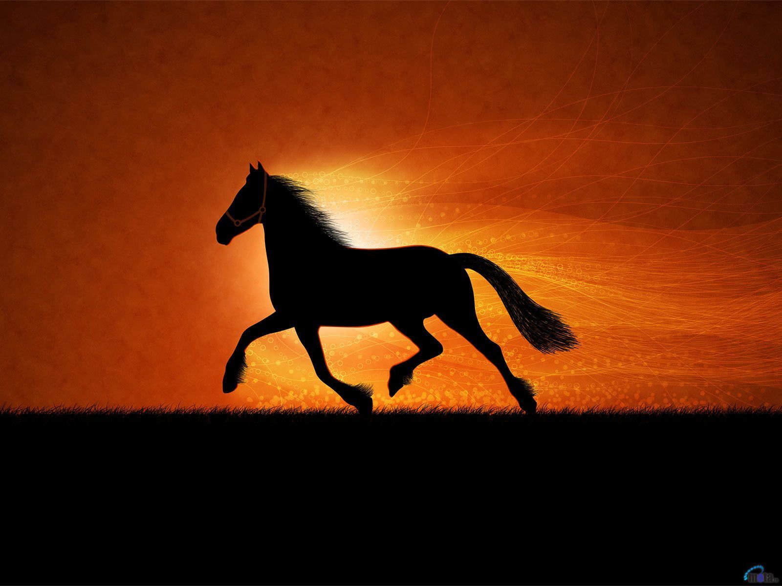 Cavallo silhouette al tramonto, 1600x1200 900p, Desktop