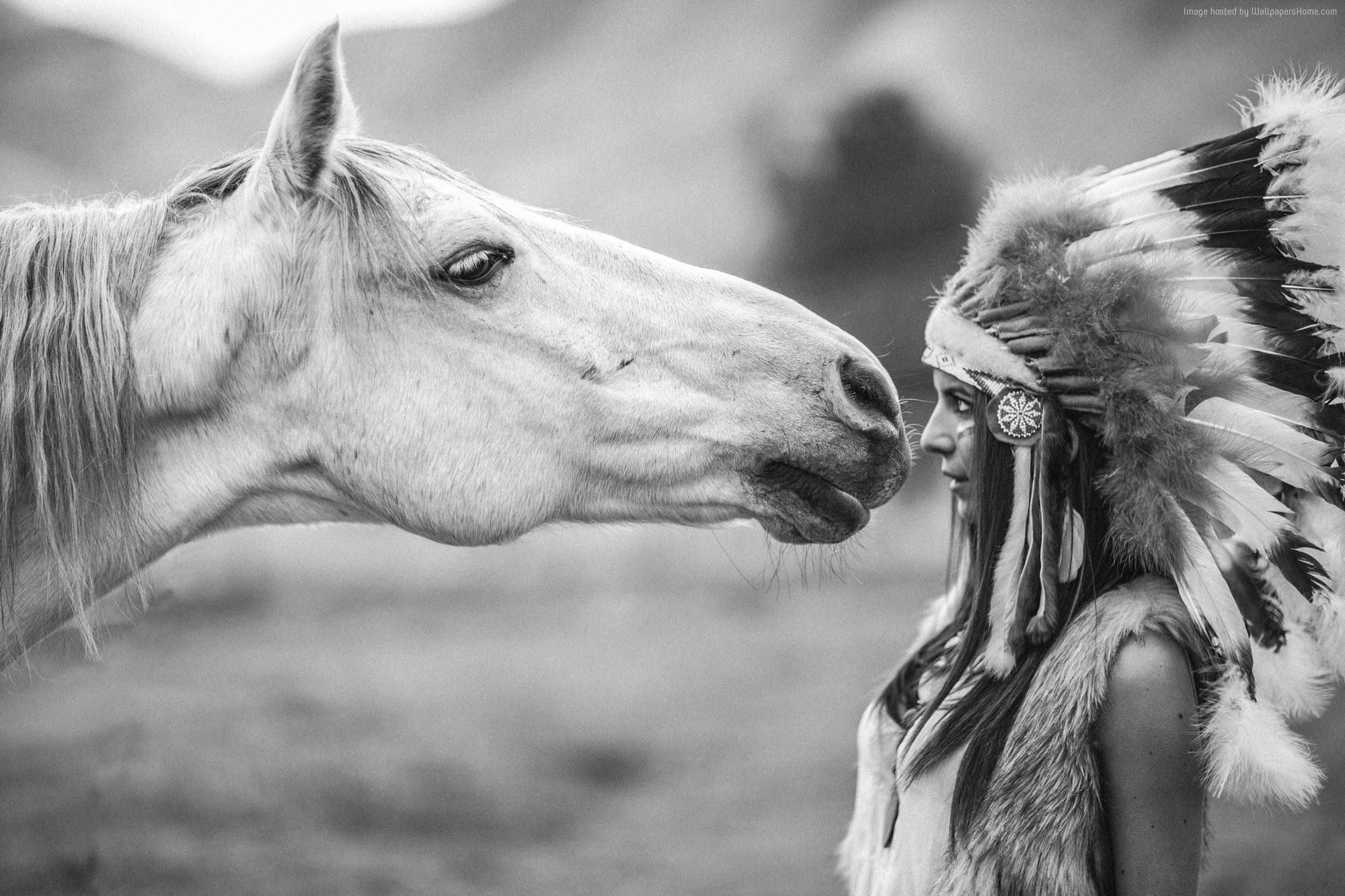 Cavallo bianco e bambina copricapo, 2000x1333 2K, Desktop