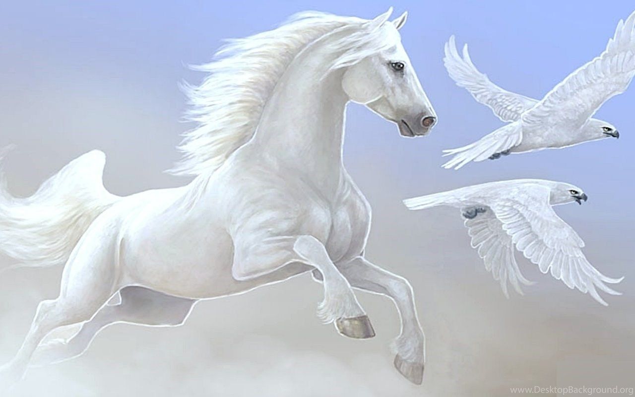 Cavallo bianco e pappagalli, 1280x800 HD, Desktop