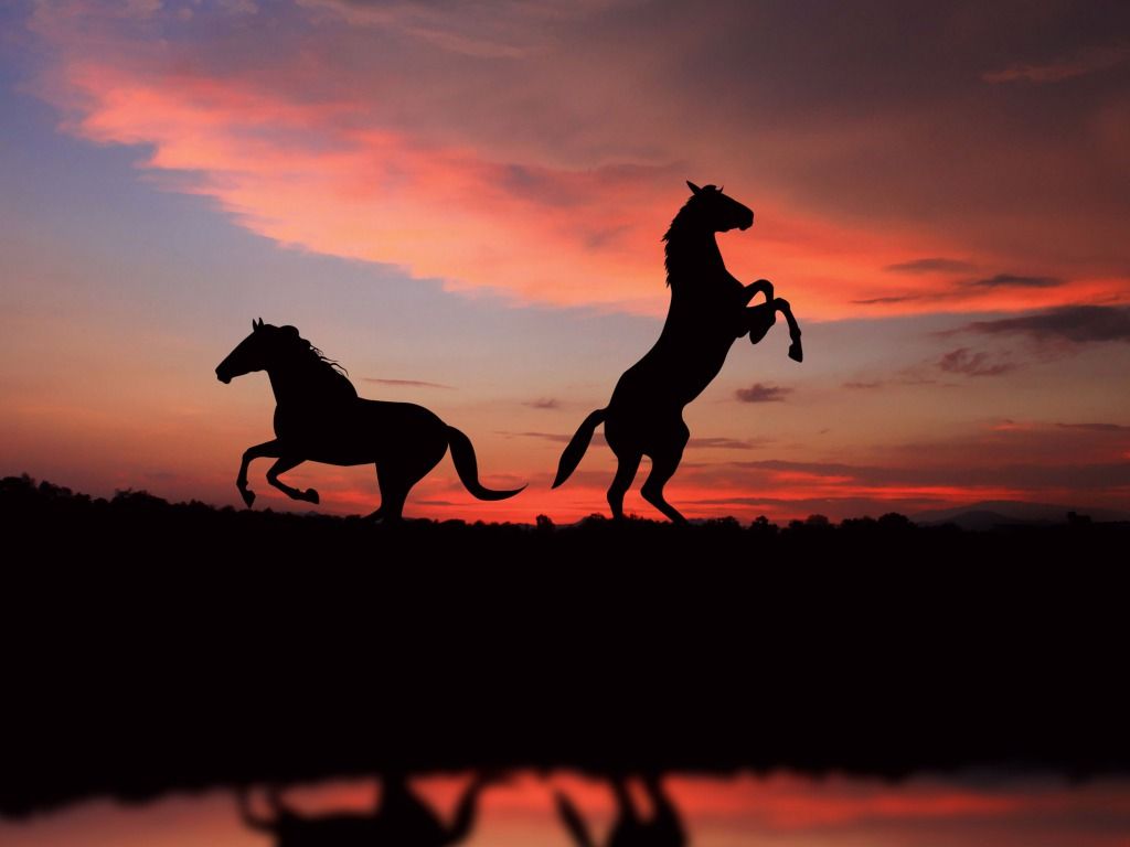 cavalli silhouette al tramonto, 1024x768 HD, iMac
