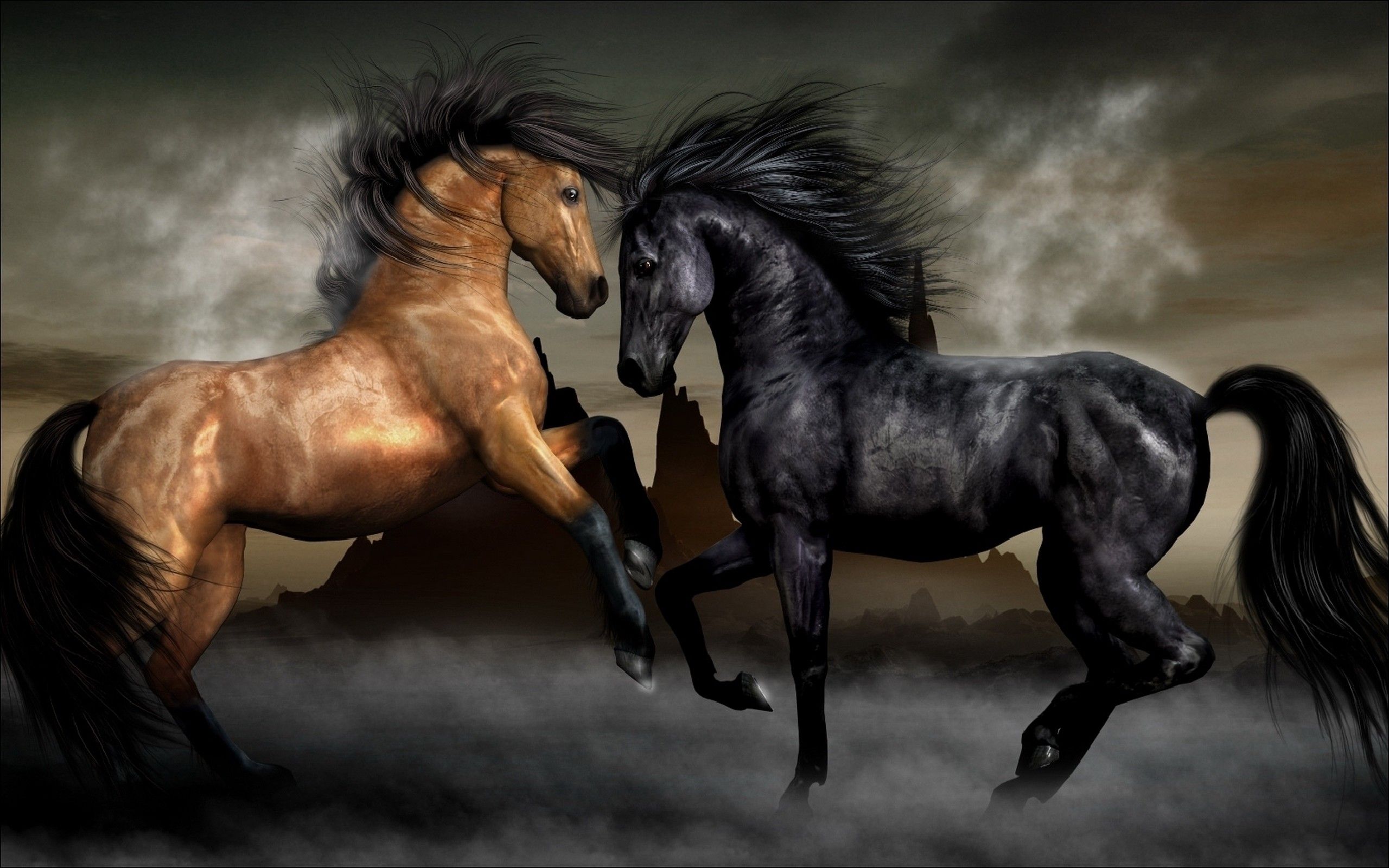 Cavalli marrone e nero impennati, 2560x1600 2K+, Desktop