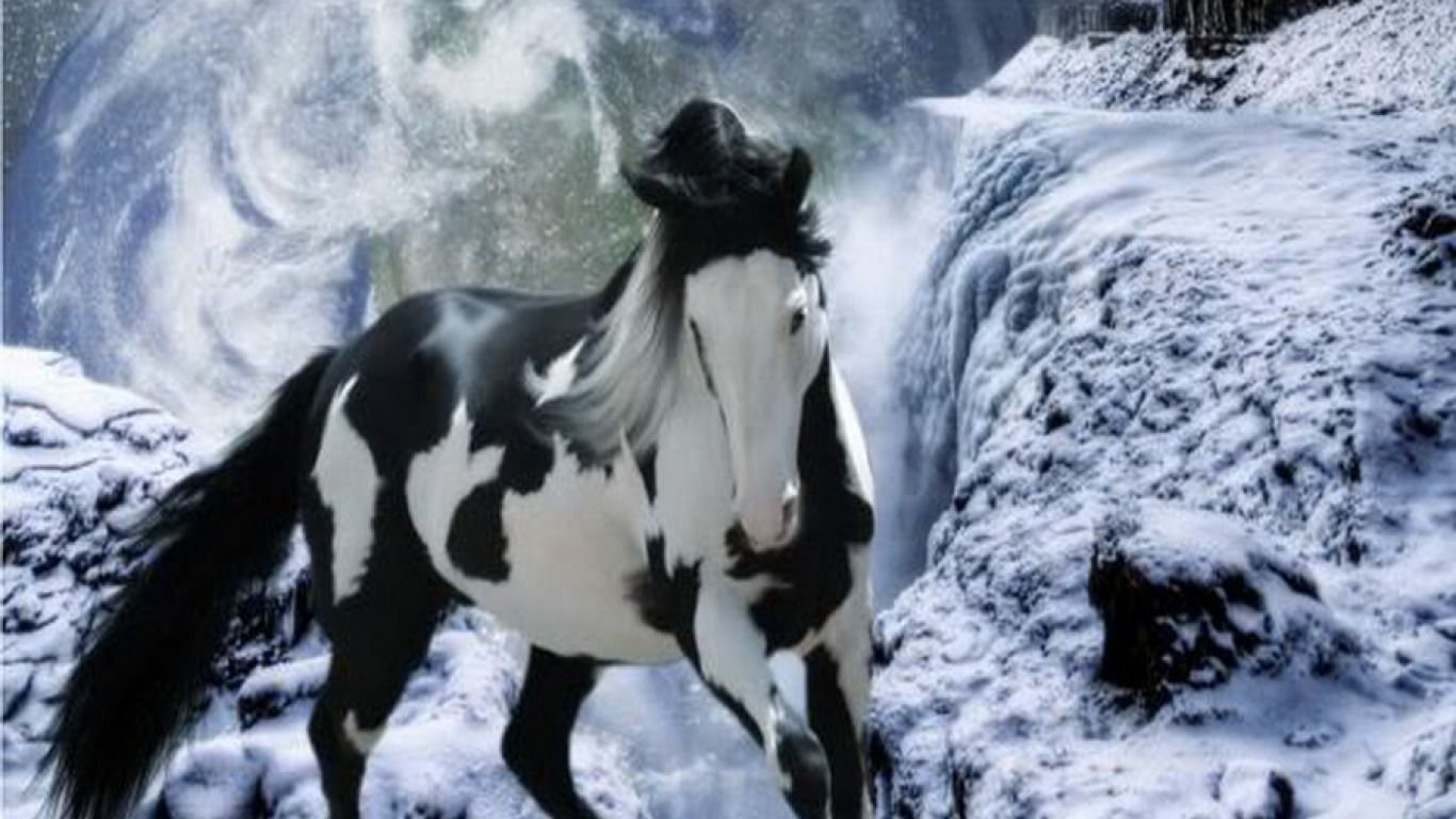 Cavallo pezzato vicino cascata, 1366x768 HD, Desktop
