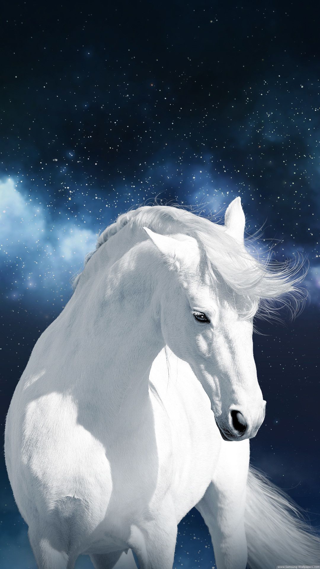 Cavallo bianco cielo notturno, 1080x1920 Verticale, Telefono