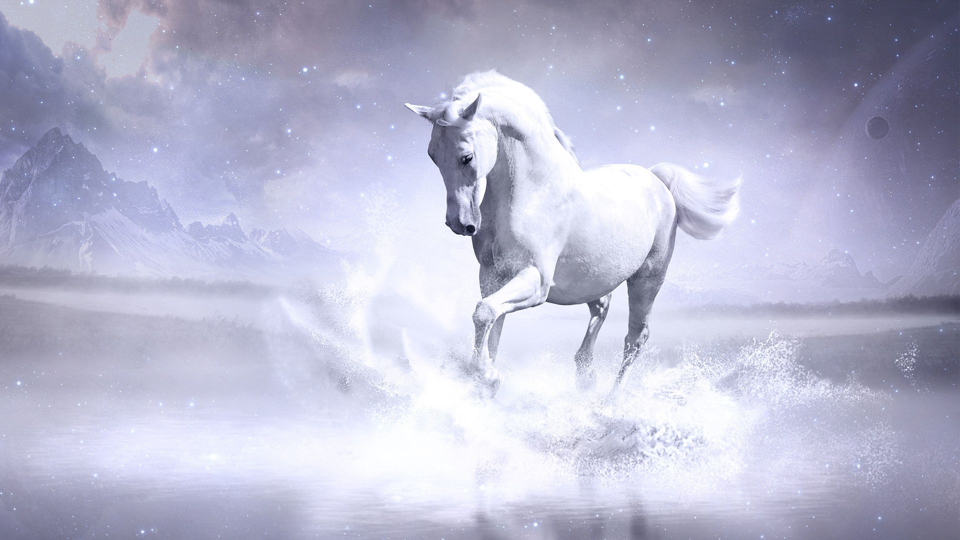 Cavallo bianco nell'acqua, 1920x1080 Full HD, Desktop