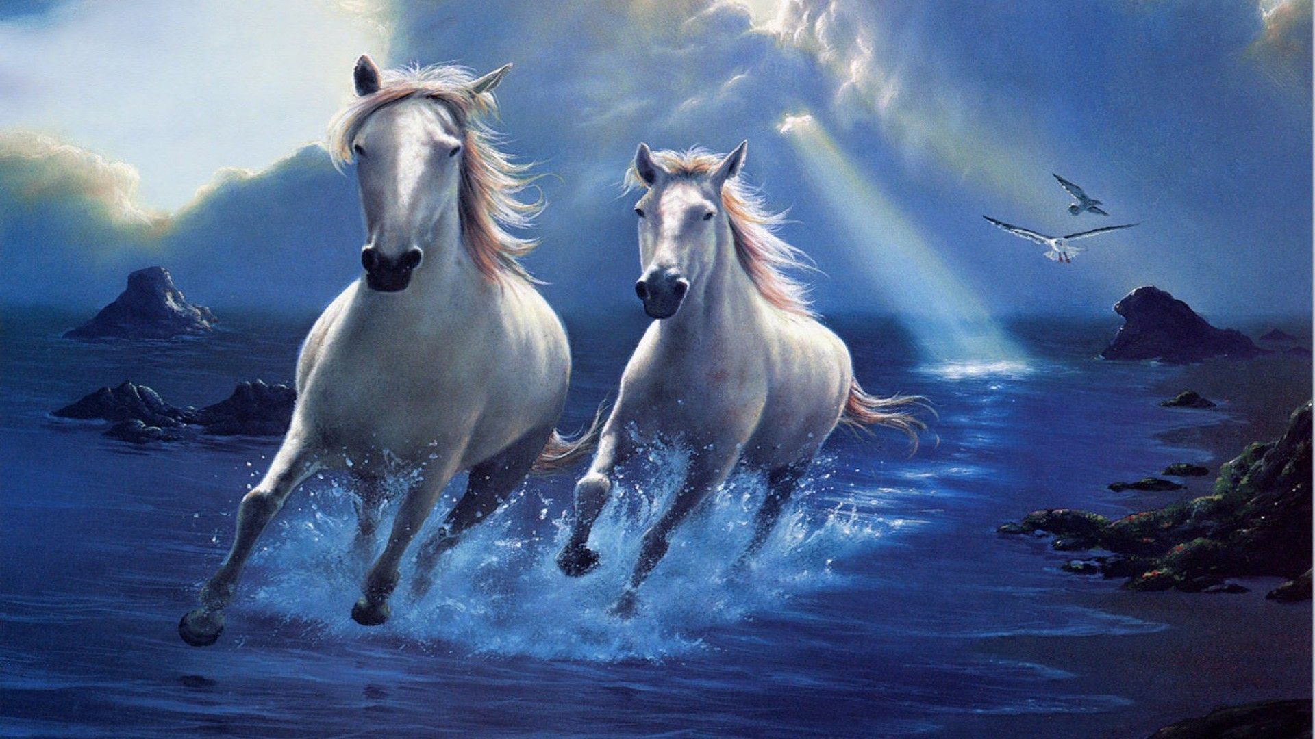 Cavalli bianchi che corrono nell'acqua, 1920x1080 Full HD, Laptop