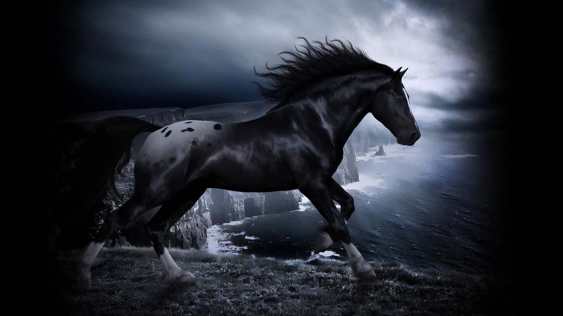 Cavallo nero scogliera notte, 1920x1080 Full HD 1080p, PC
