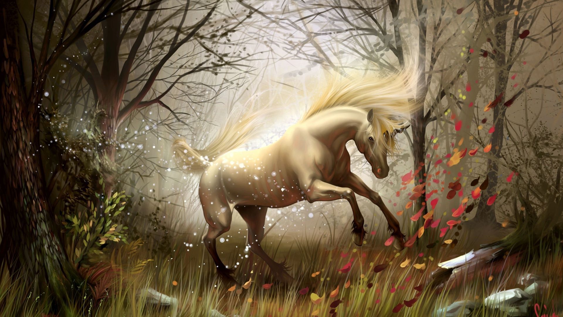 cavallo bianco magico nella foresta, 1920x1080 Full HD, PC Desktop