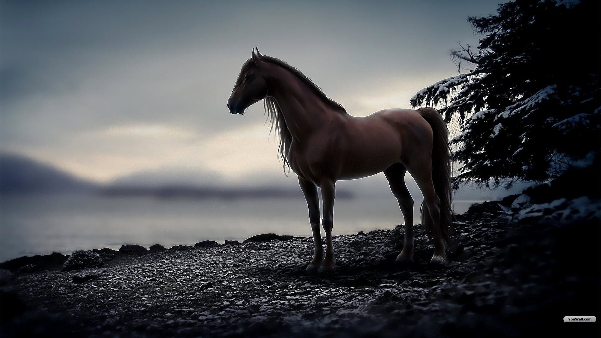 Cavallo marrone in riva, 1920x1080 Full HD 1080p, Laptop
