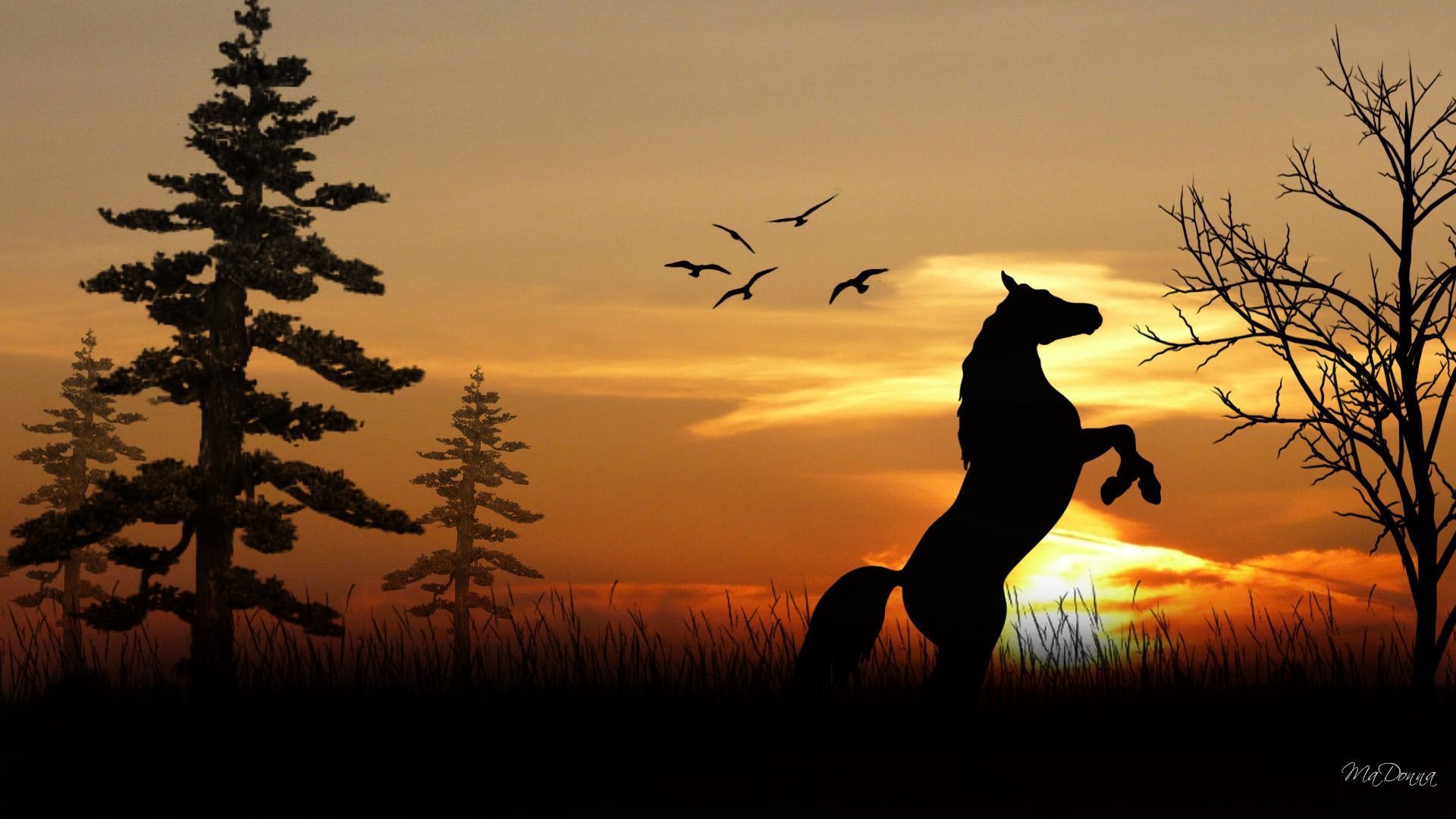 Cavallo impennato al tramonto, 1920x1080 1080p, Desktop