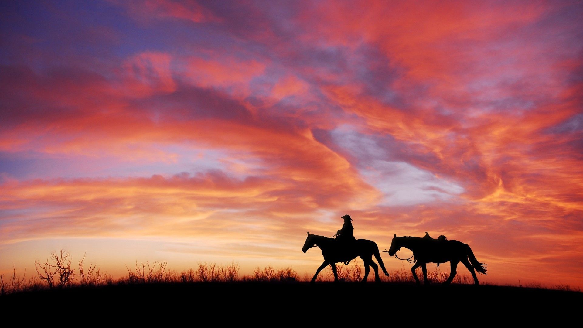 Cavaliere e cavalli al tramonto, 1920x1080 Full HD 1080p, PC