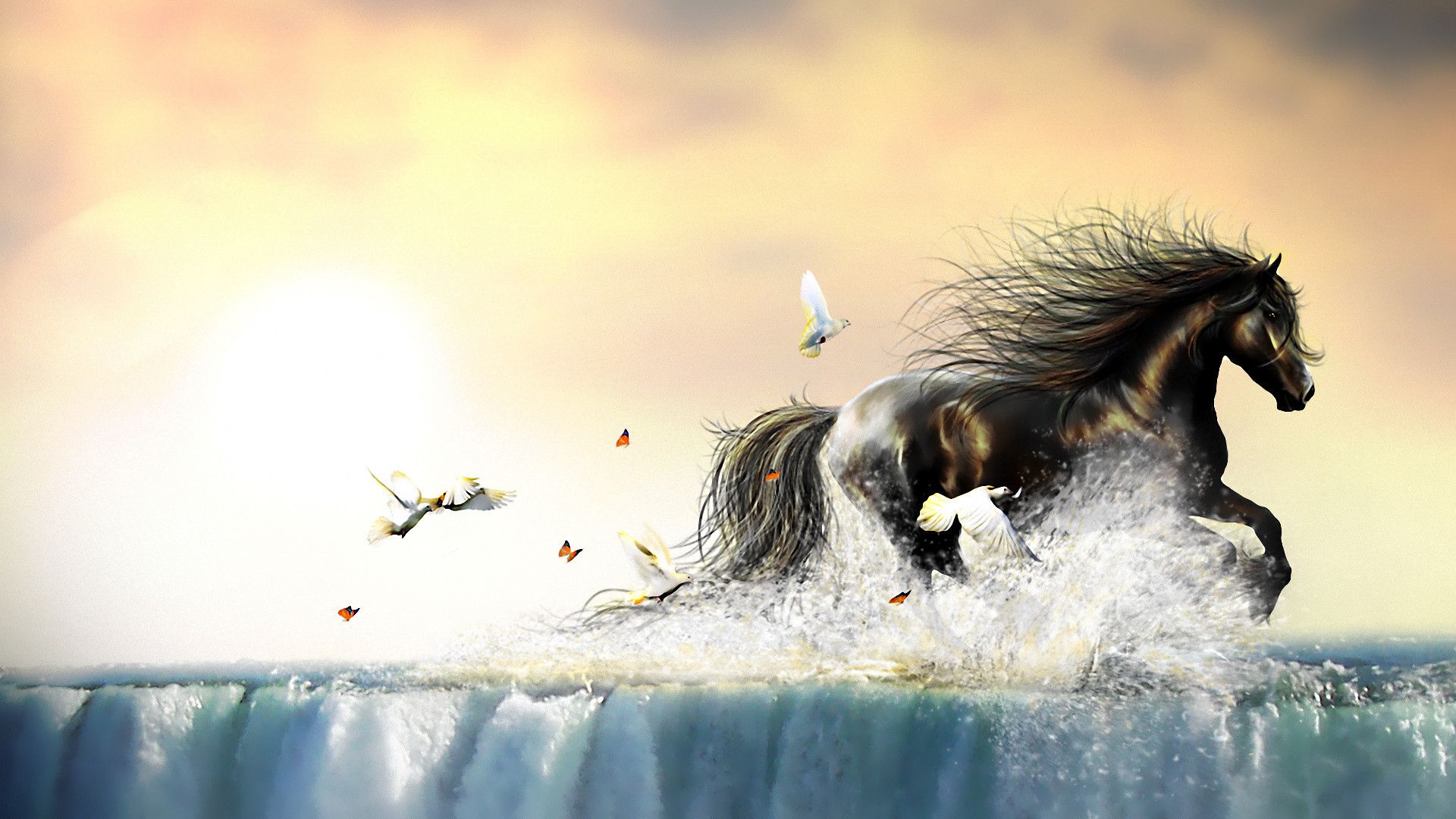 Cavallo nero al galoppo su acqua, 1920x1080 Full HD 1080p, Laptop