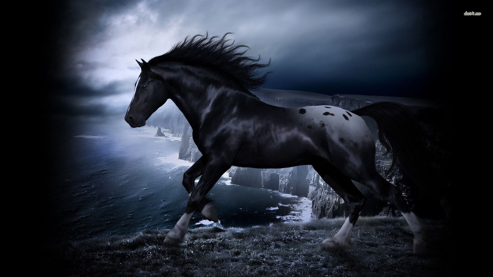 Cavallo nero su scogliera, 1920x1080 Full HD 1080p, PC Desktop