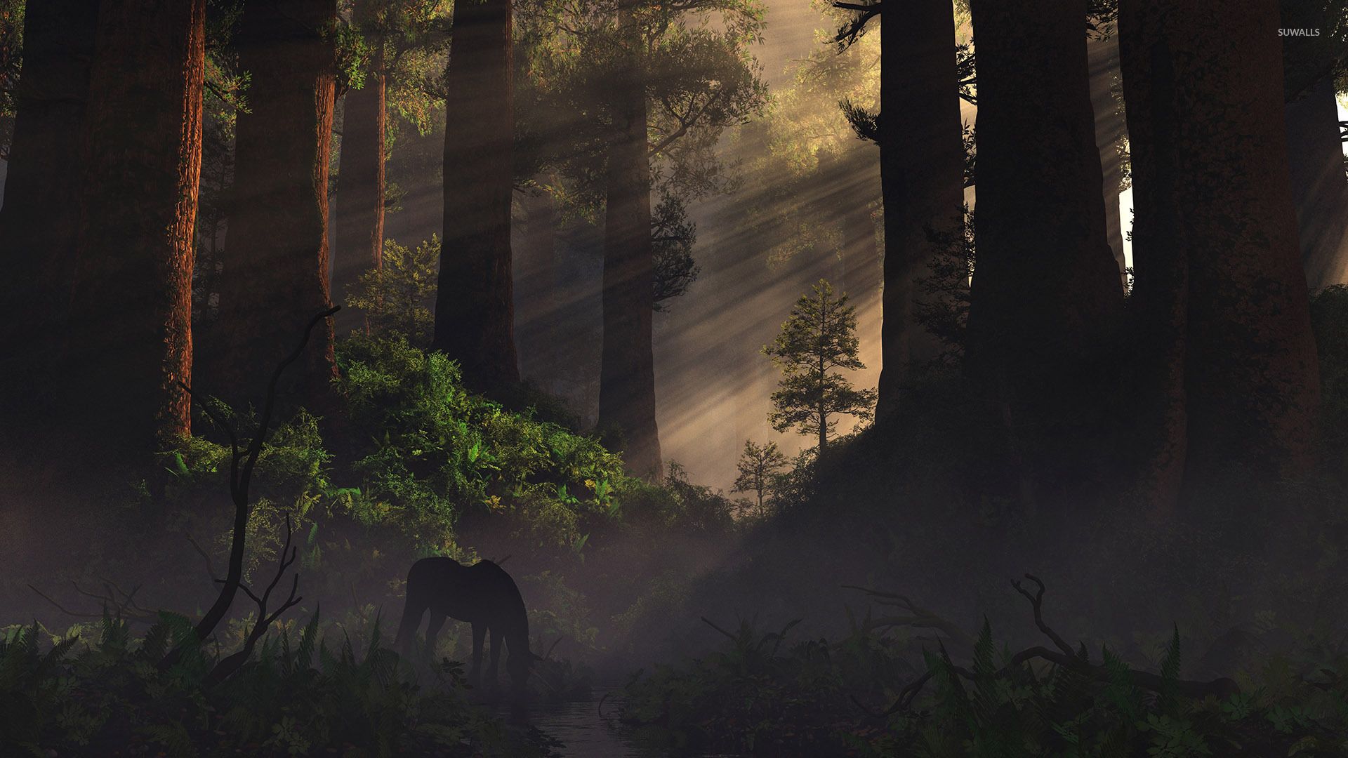 Cavallo nella foresta nebbiosa, 1920x1080 Full HD, Laptop