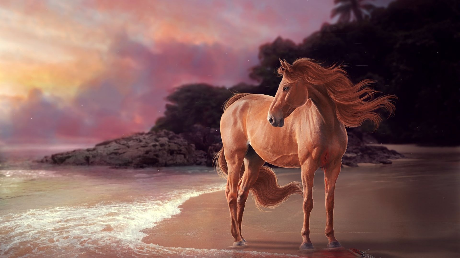 Cavallo su spiaggia al tramonto, 1920x1080 Full HD 1080p, Desktop
