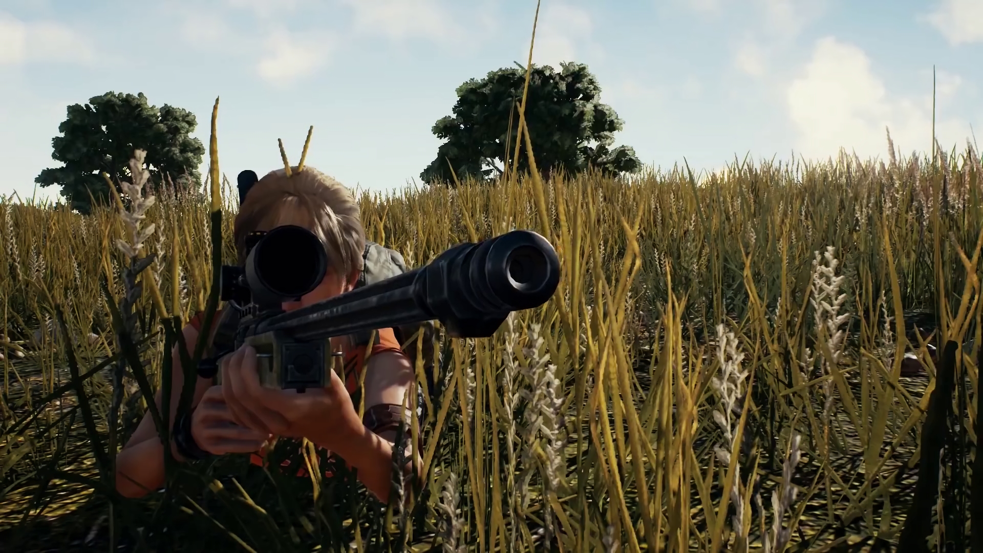 Cecchino PUBG in erba alta, 1920x1080 Full HD, Desktop