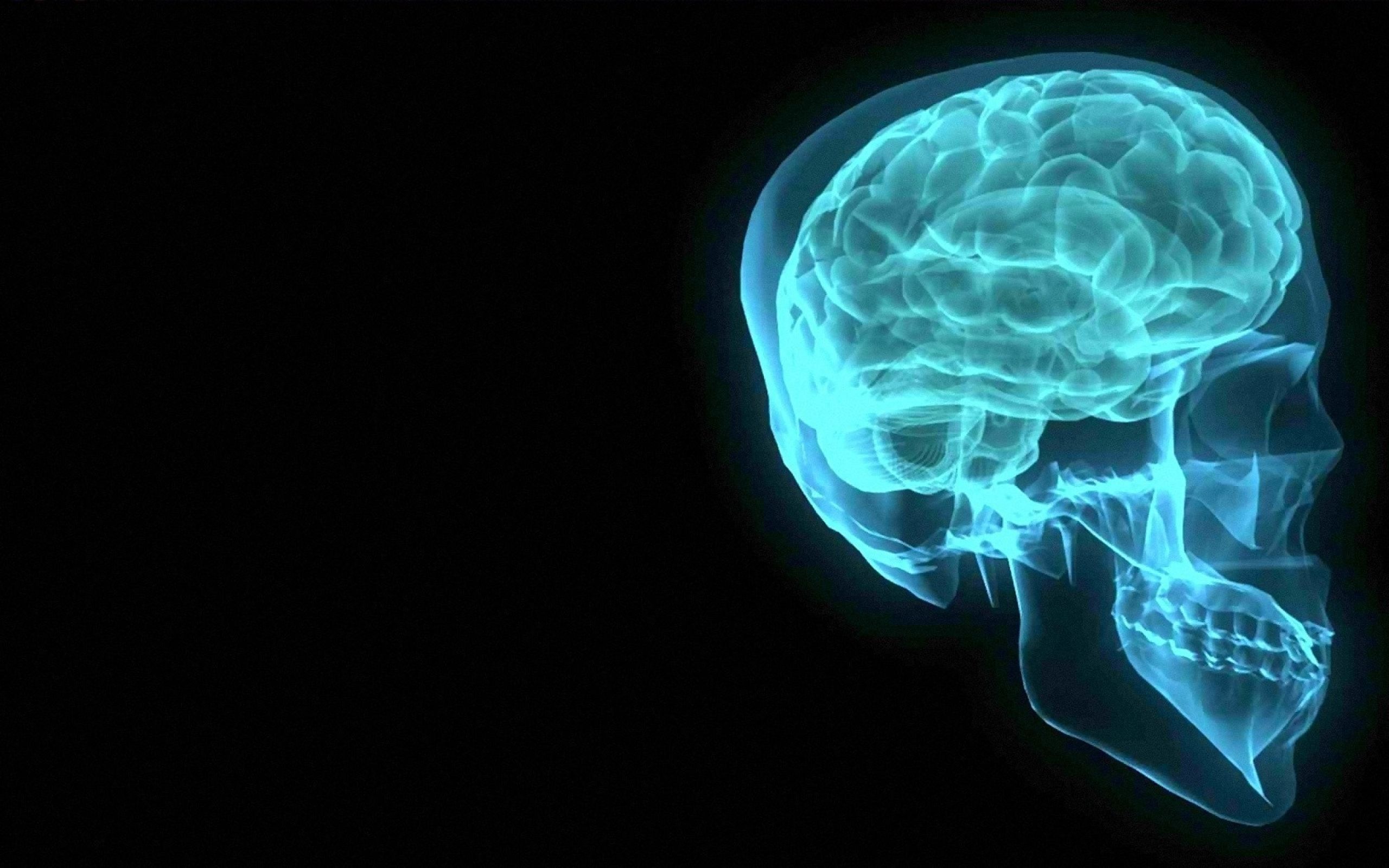 Cervello sinistra-destra colorato astratto, 1920x1190 Full HD 1080p, Desktop