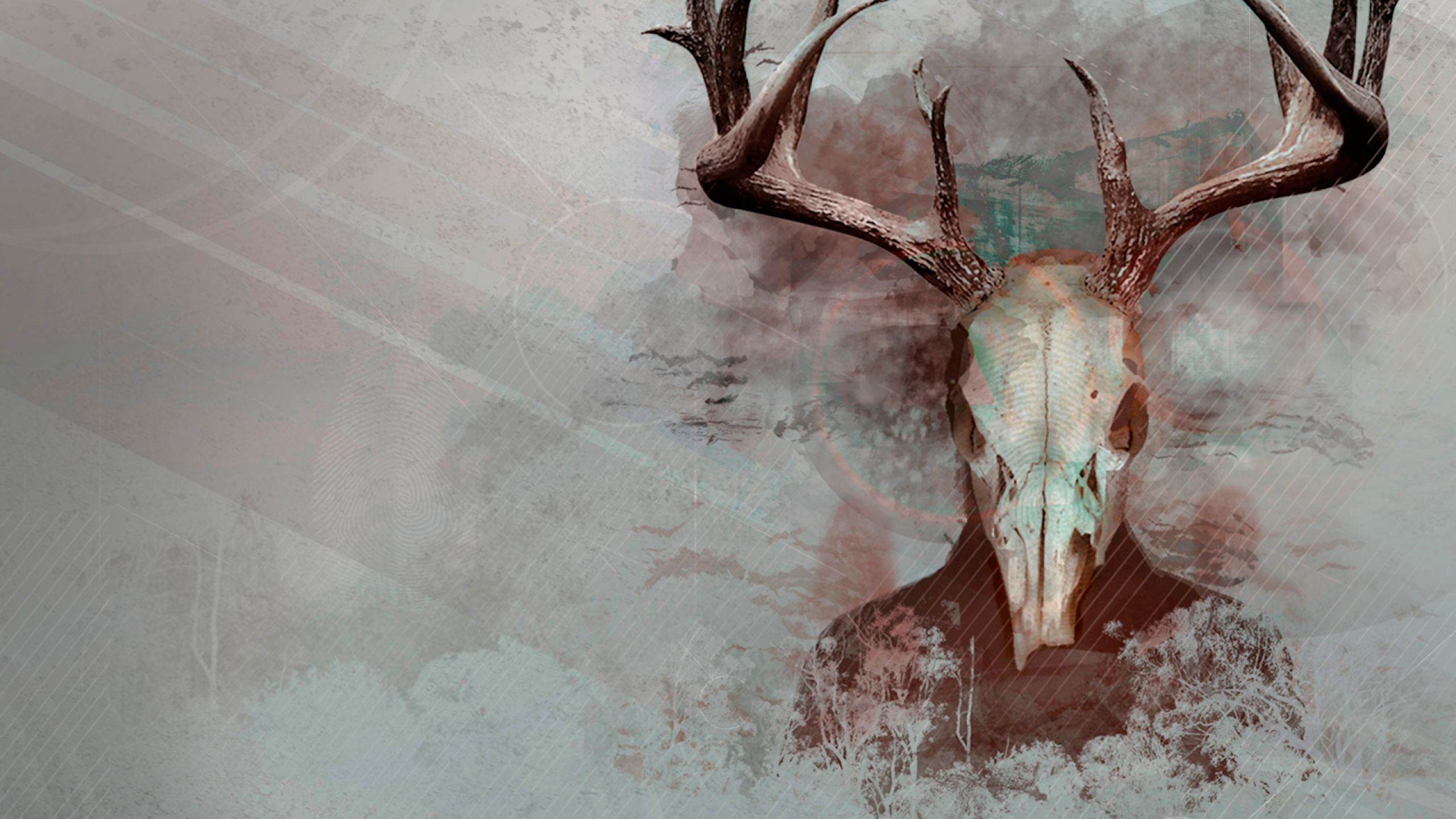 Teschio di cervo artistico grigio, 2560x1440 2K QHD, PC